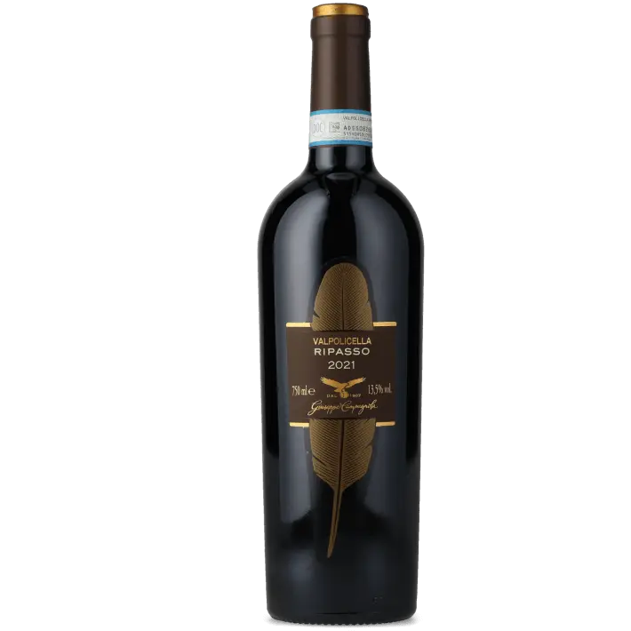 Valpolicella Classico Superiore Ripasso DOC, Giuseppe Campagnola