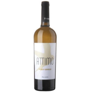 attimo Pinot Grigio Paladin, vin blanc italien