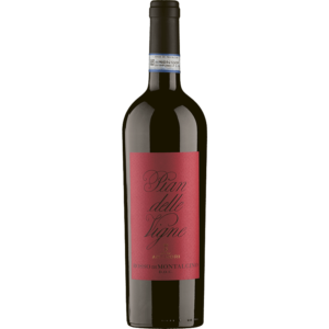 Rosso di Montalcino – Pian delle Vigne 2023 DOC, Antinori