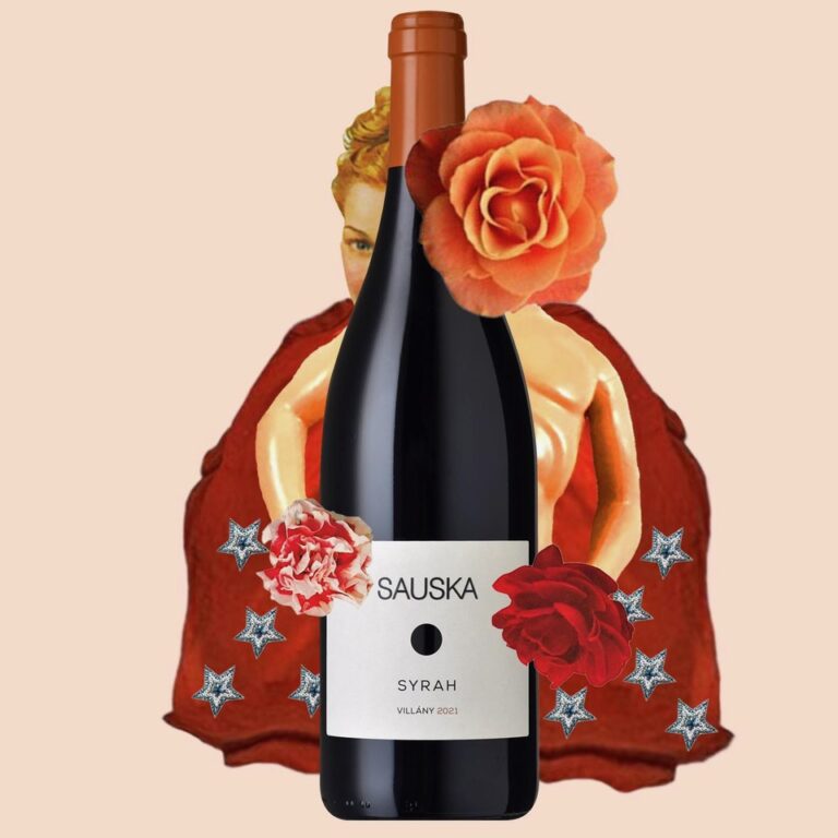 Weinetikett richtig lesen